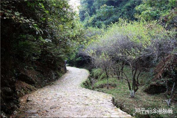 梅關古道中原至海上絲綢之路的唯一陸路通道