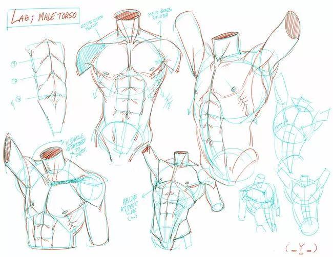 男性人体的肌肉绘画教程不怕画不出有魅力的男性