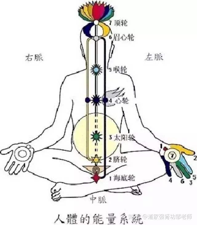 人体三脉七轮的秘密 - 知乎