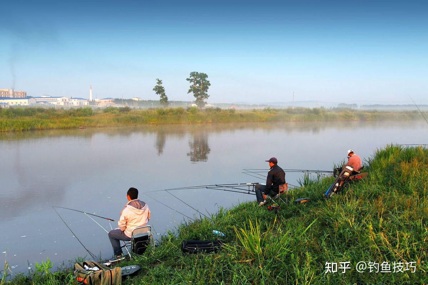 野钓鲫鱼和鲤鱼用什么打窝聚鱼快又多?鲫鱼和鲤鱼都喜欢吃的窝料 - 知