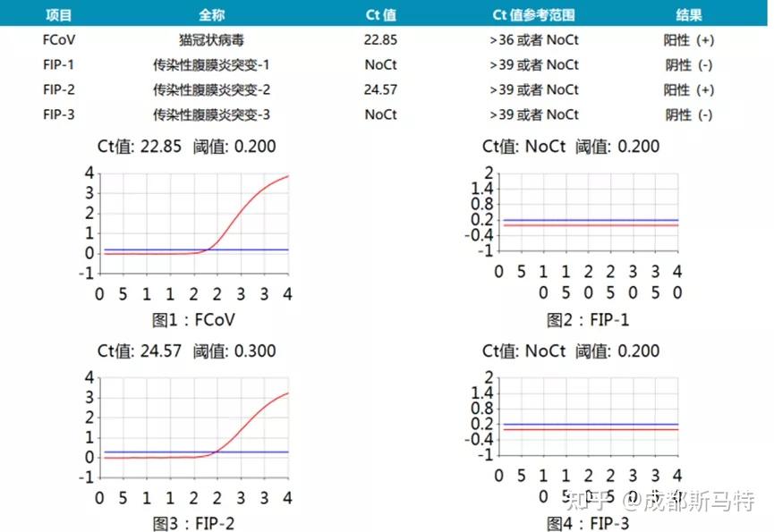 貓炎12項生化檢測盤結果顯示:波妞白蛋白(alb)正常正常範圍內偏低,球