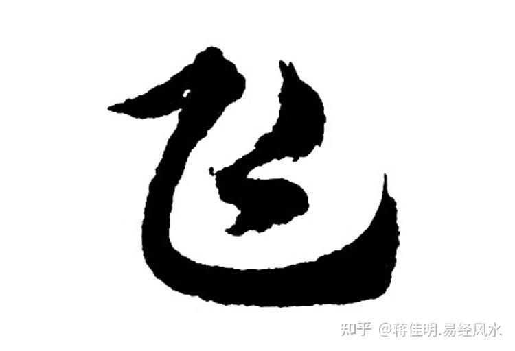 【蒋佳明】名字中带“飞”字有什么寓意,好不好? - 知乎