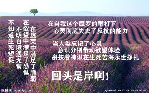 无土壤而生嘉树美箭 益奇而坚 知乎