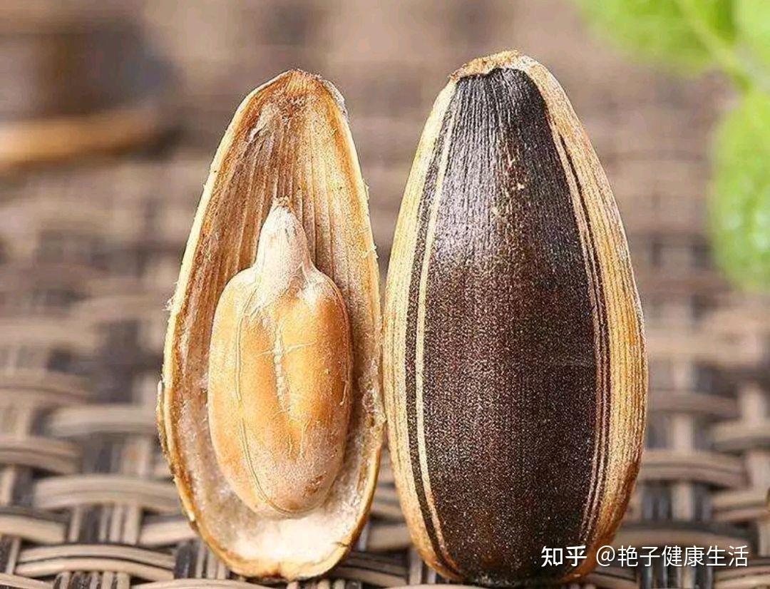 过年不推荐吃瓜子的原因，只有一个 - 深圳市君鹏人力资源有限公司
