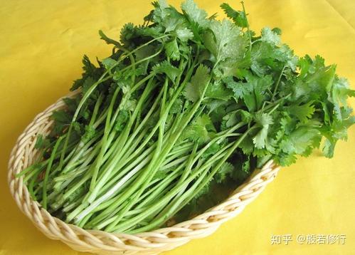 佛弟子到底能不能吃香菜？终于有答案了！ - 知乎