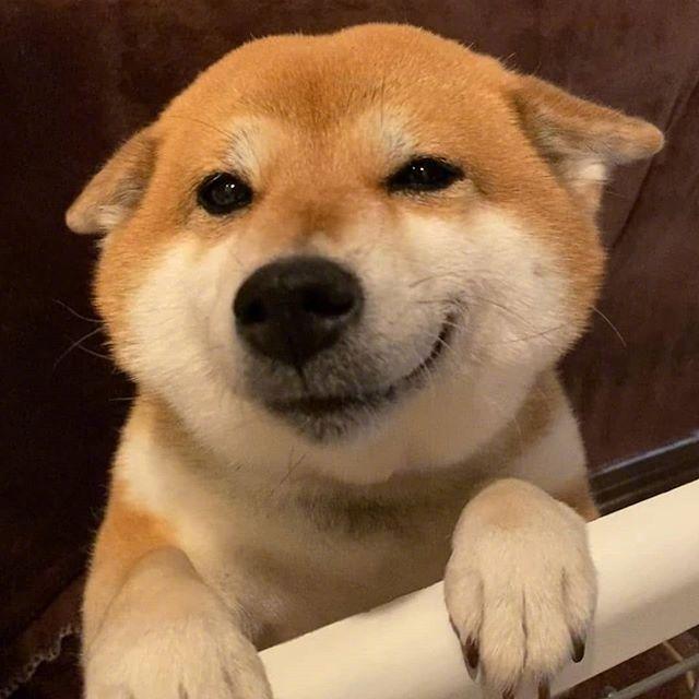 周行长