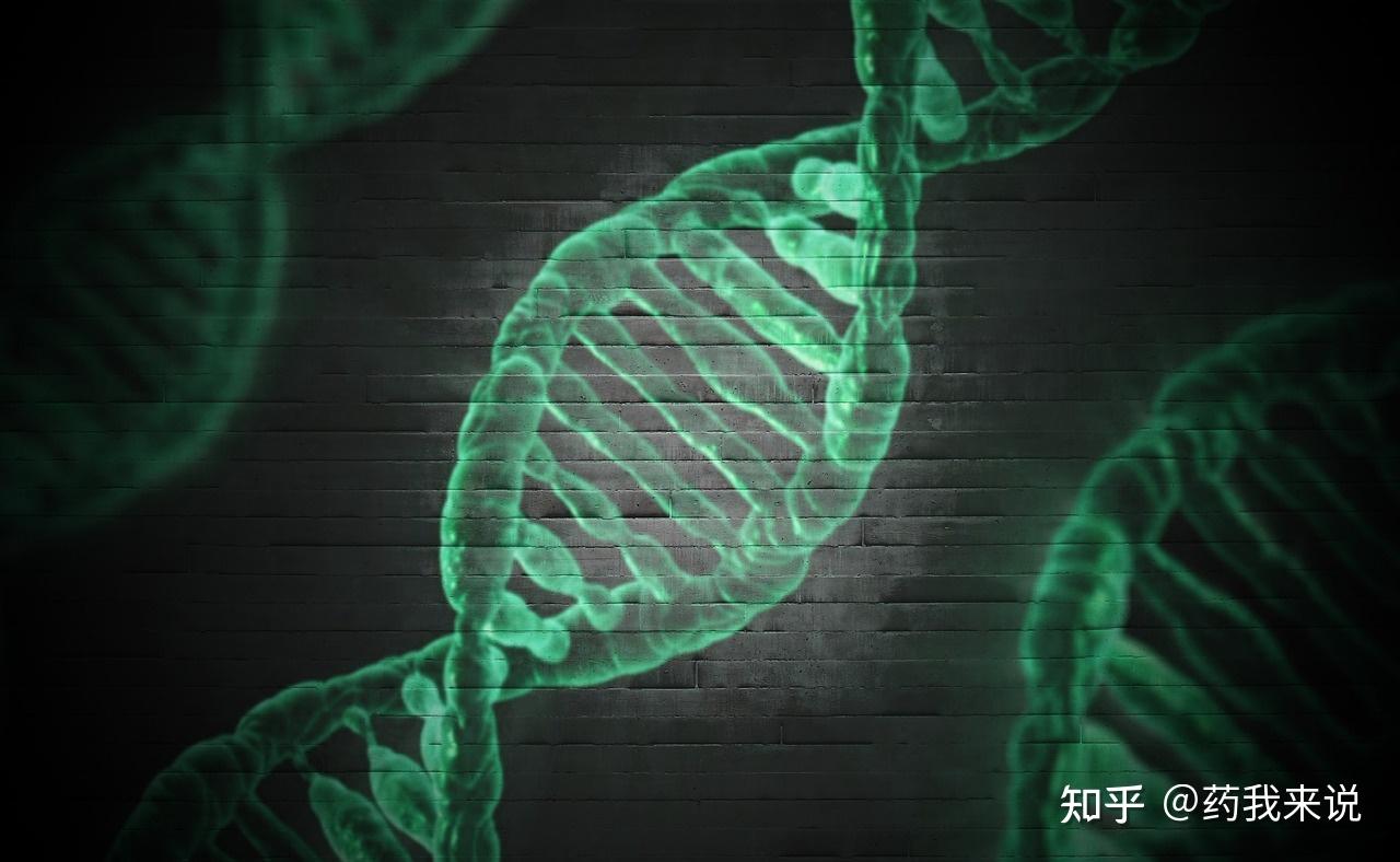 超雌综合征会更漂亮吗?或许是有什么误解 - 知乎
