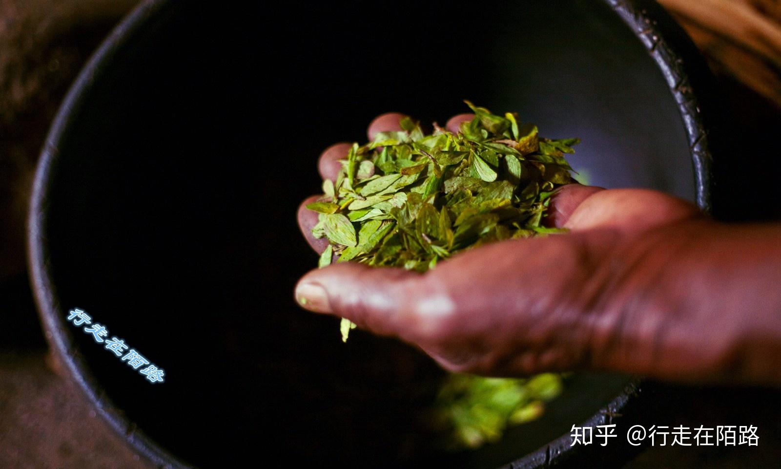 海拔4100米的首都：高反就嚼古柯叶，出门买菜坐缆车 - 知乎