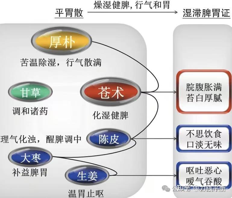 平胃散使用手册 - 知乎