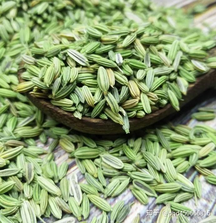 香辛料百科之小茴香