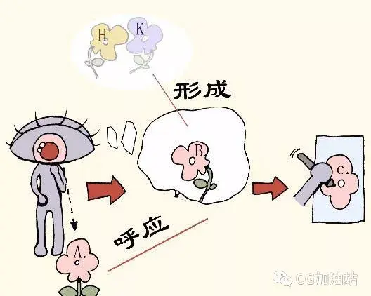 视觉详解:眼见一定为实吗? - 知乎