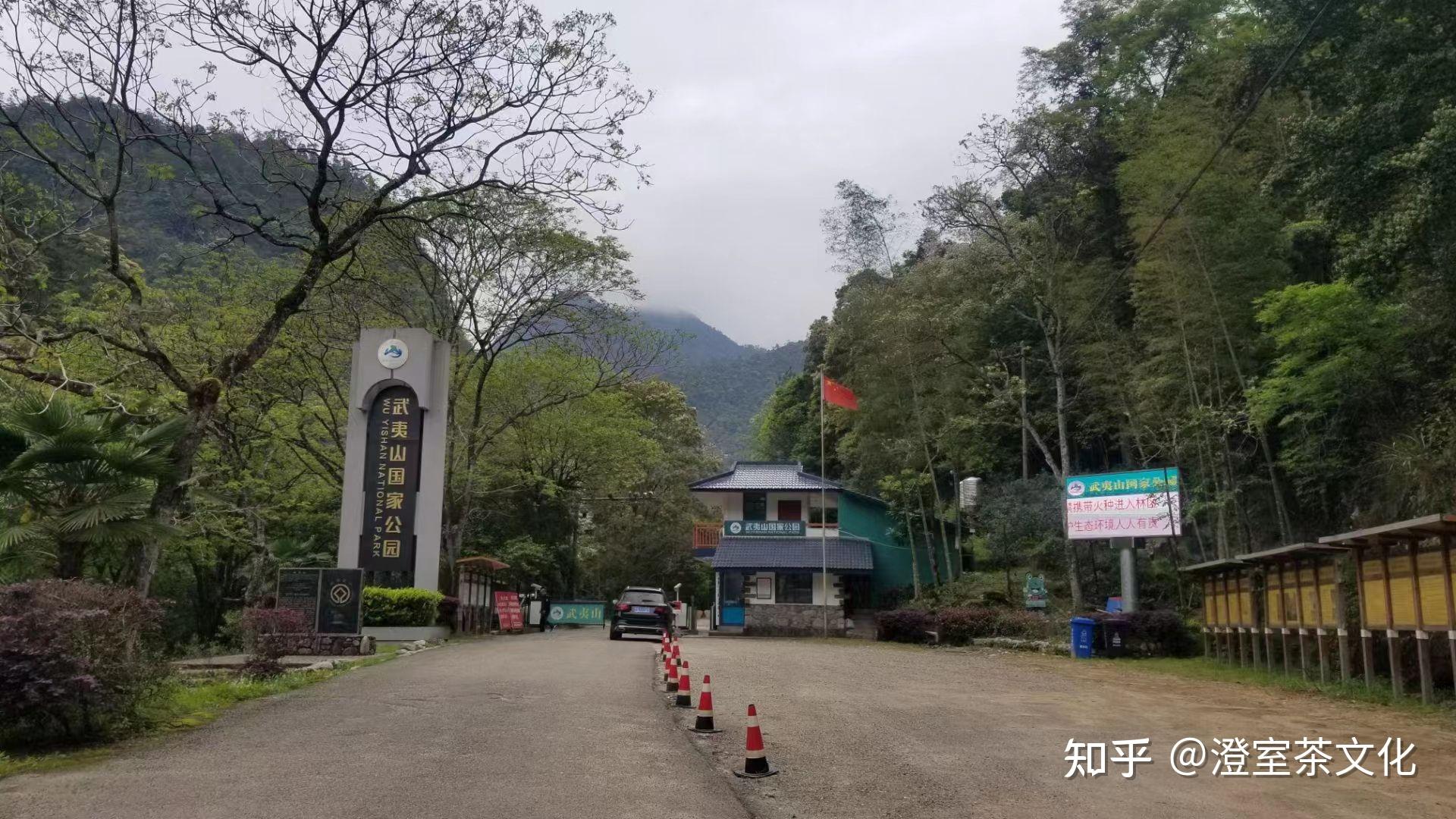 桐木关道地金骏眉小试推荐 - 知乎