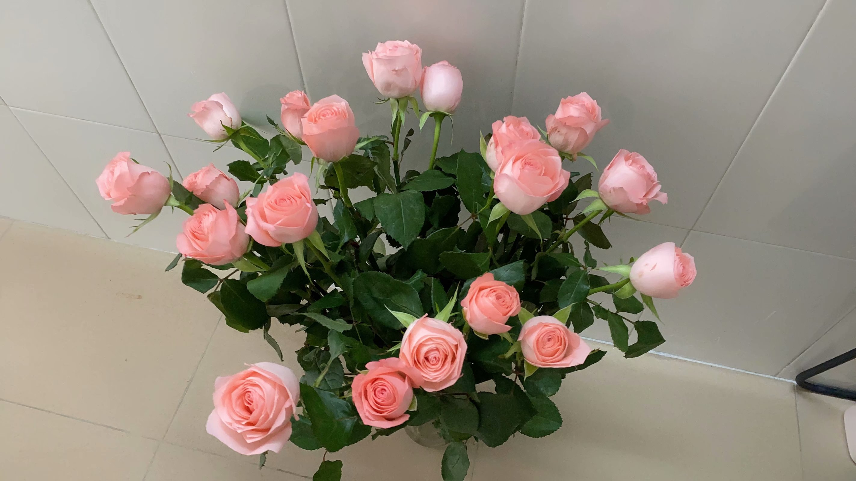 醒花ing~花了60元买了20支戴安娜玫瑰,谢绝了老板帮我打刺,事实证明这