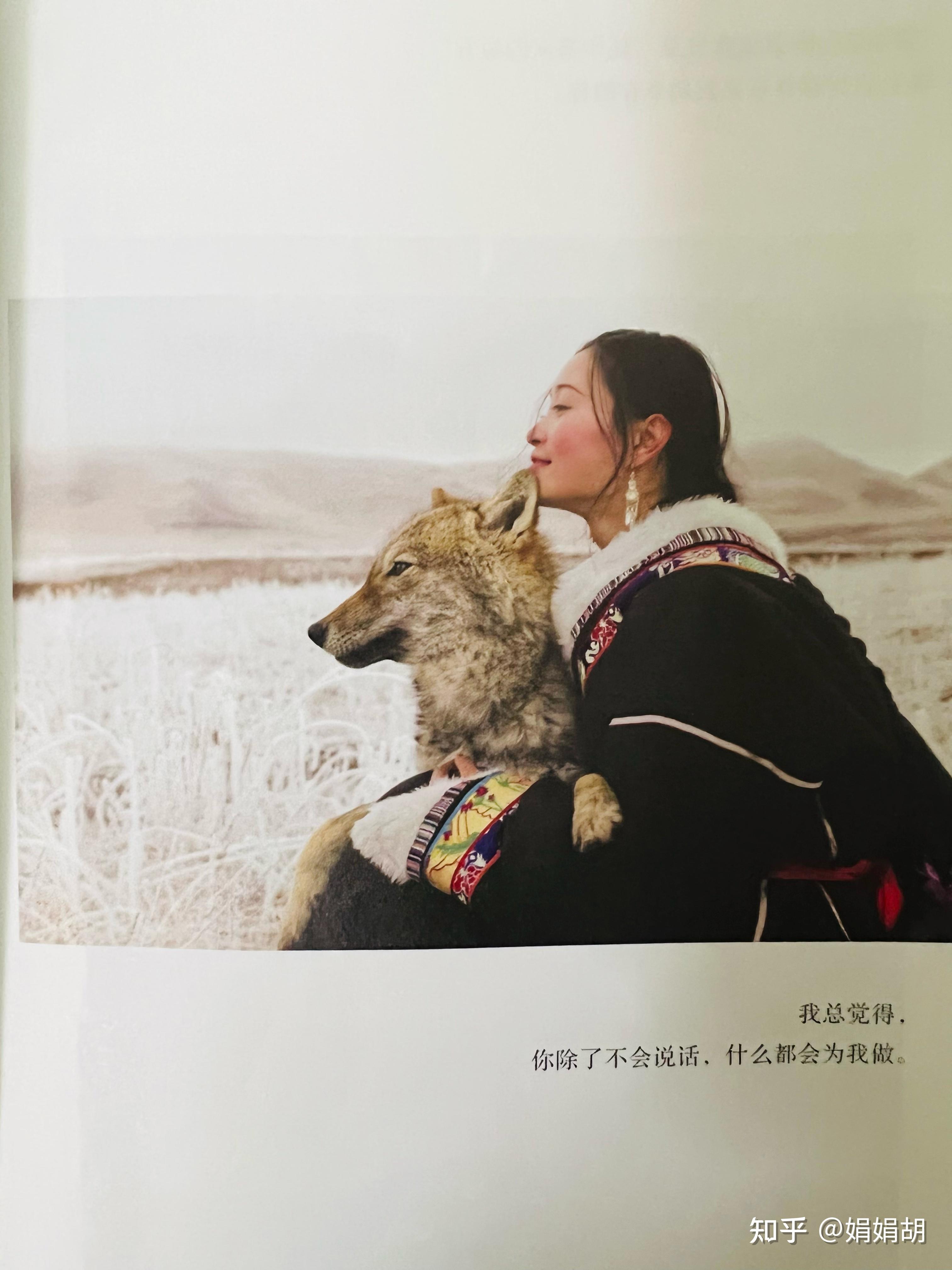 我2022年读的第40本书📚 《重返狼群》 - 知乎