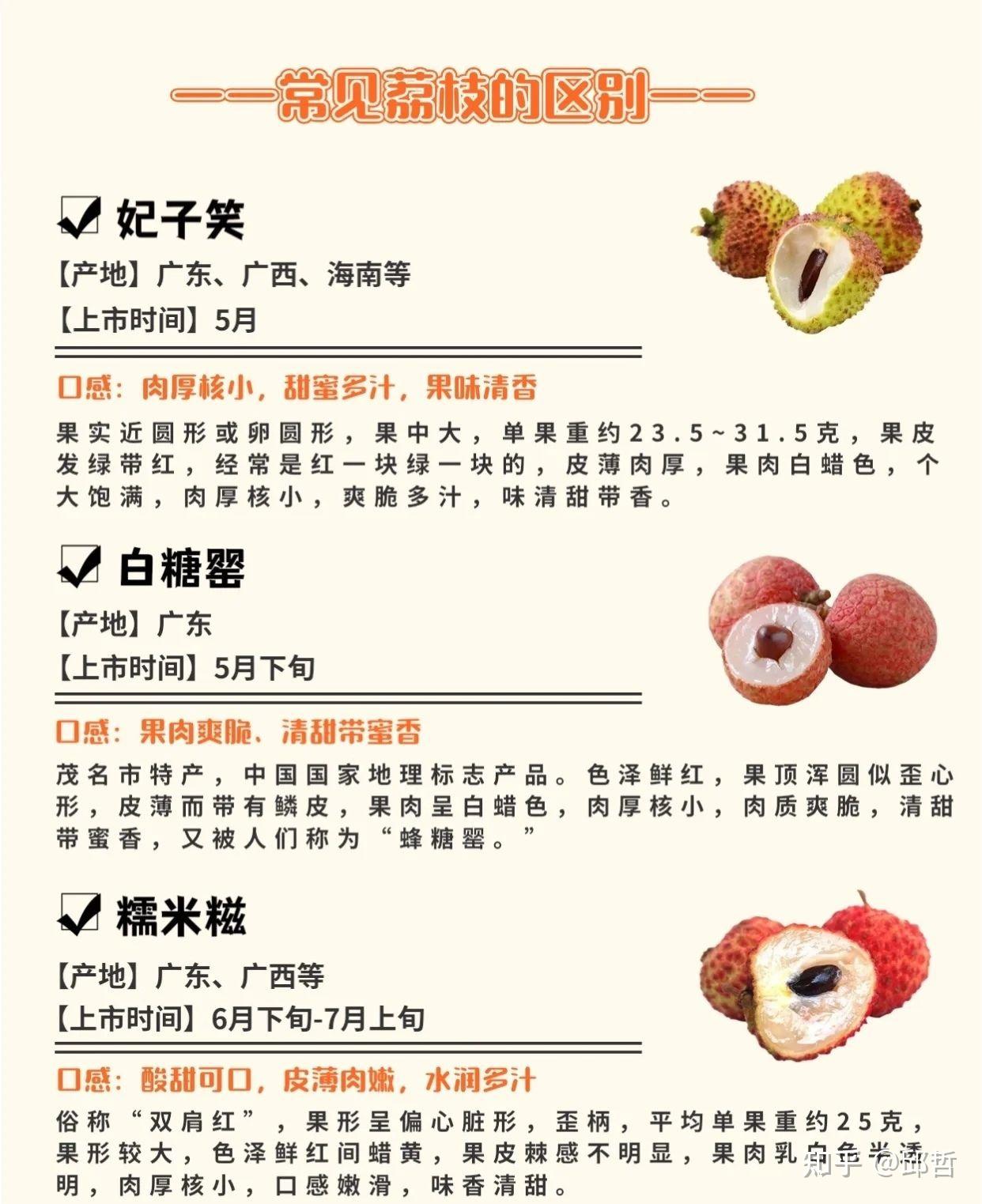 荔枝:一种具有悠久历史和丰富文化内涵的水果 - 知乎