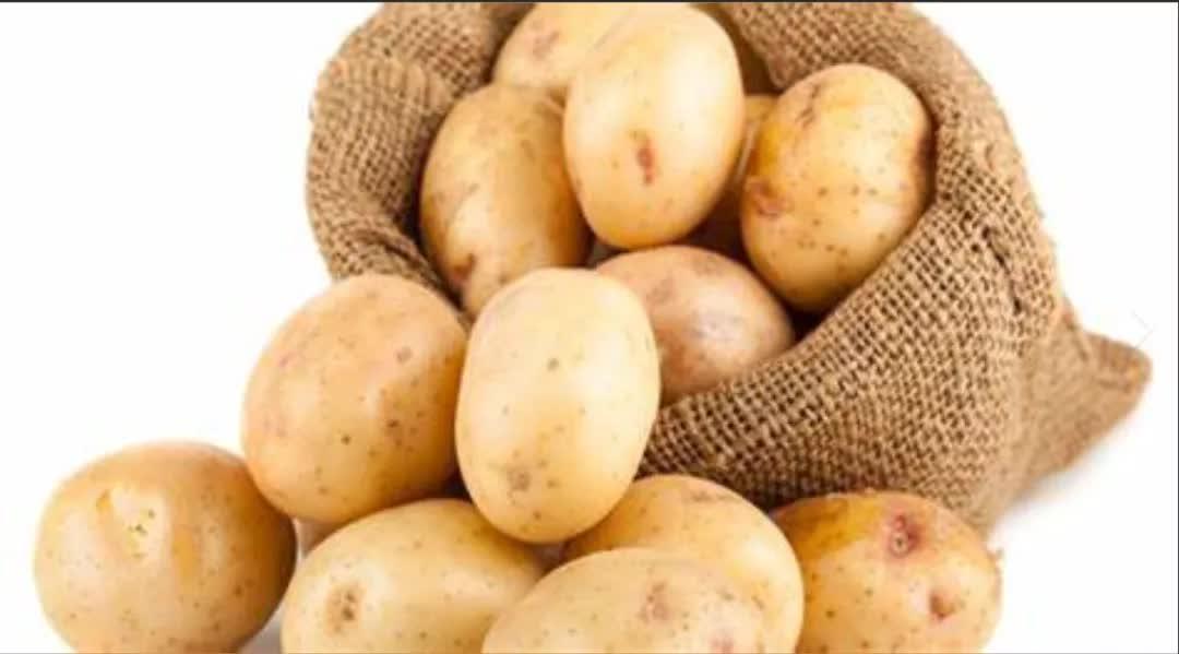 与蔬菜水果并列德国的土豆