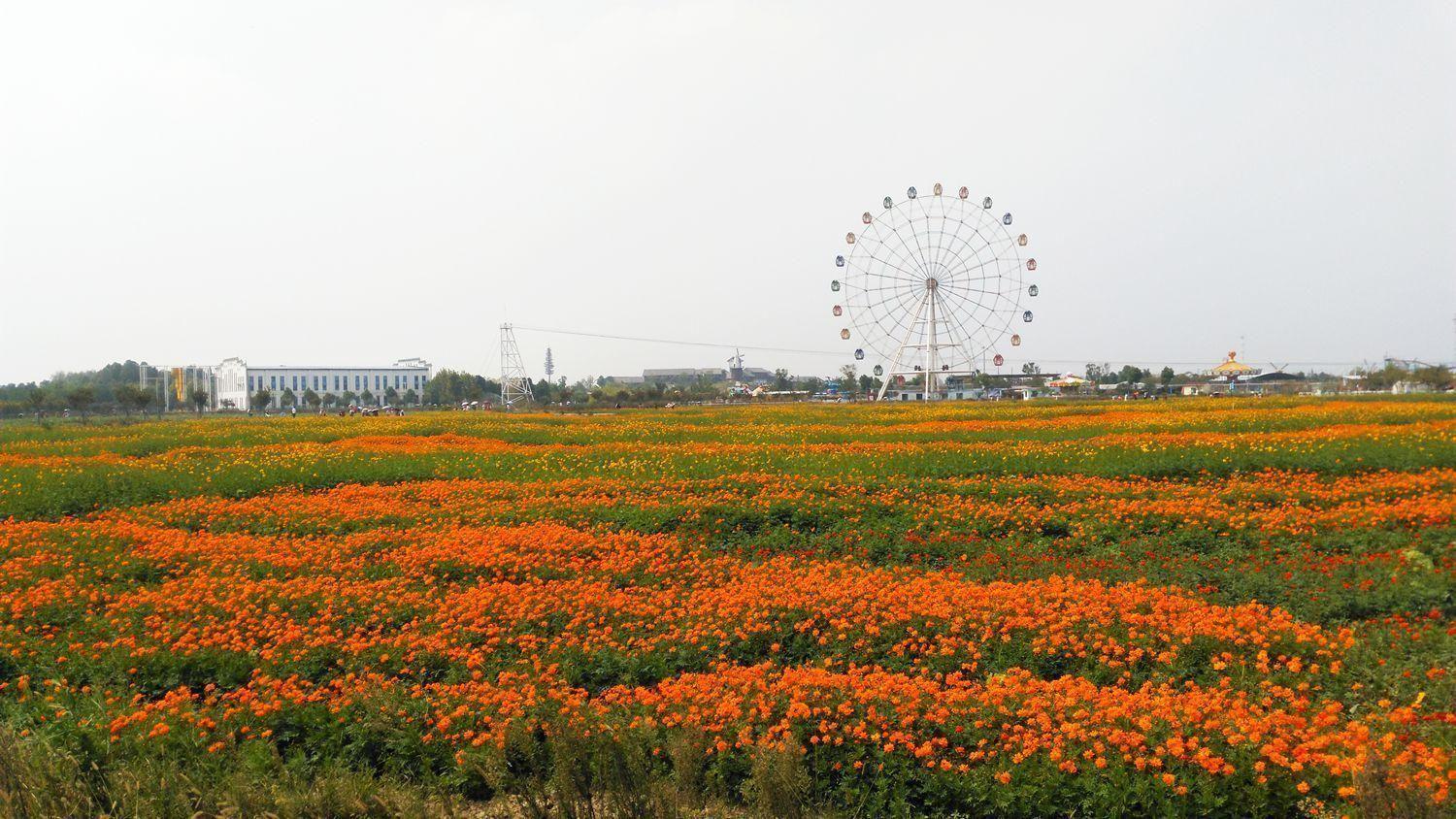 湖北秋季热门旅游景点金卉庄园旅游攻略低音号免费语音导游