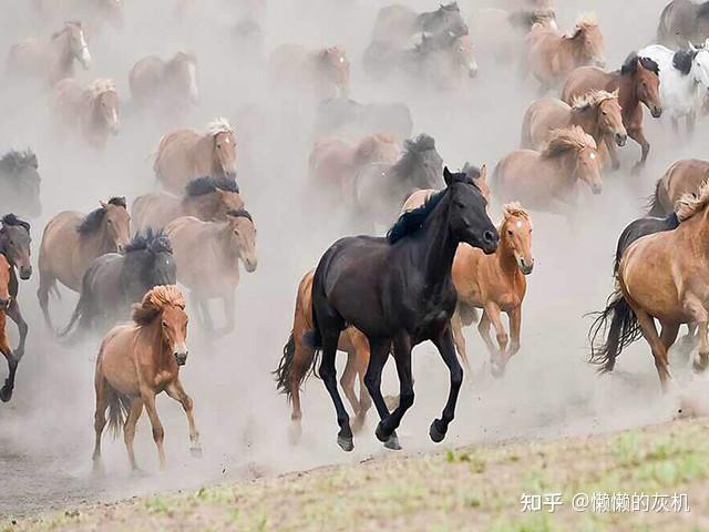 "使御广车而行,己皆乘乘车",一路上宛射犬的心里,估计没少万马奔腾