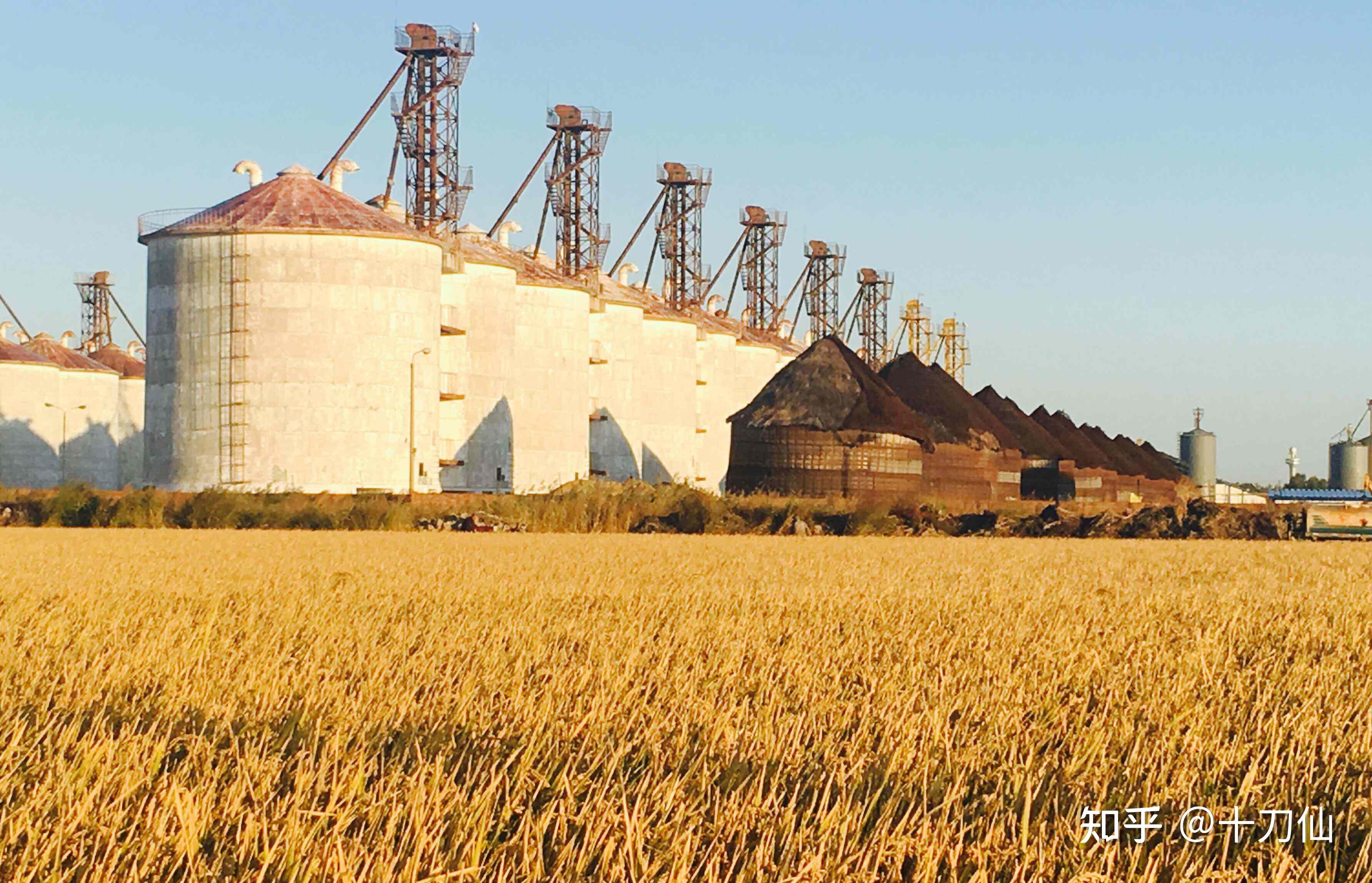 粮食安全存储,应该藏粮于民,藏粮于村,天下粮仓应该在百姓手里