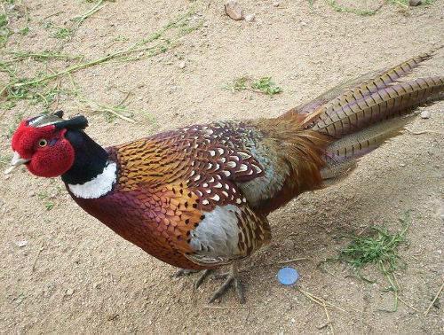 娱乐- 收藏夹 - 知乎