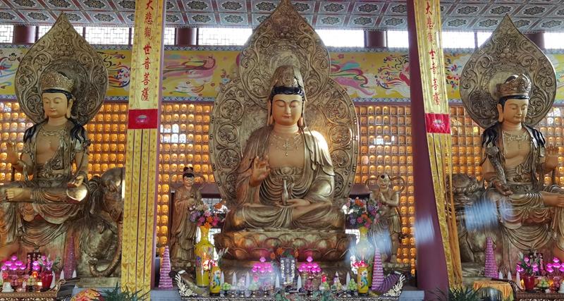 v2-88b619111e879df487896cd5bf94727c_1440w.jpg?source=172ae18b