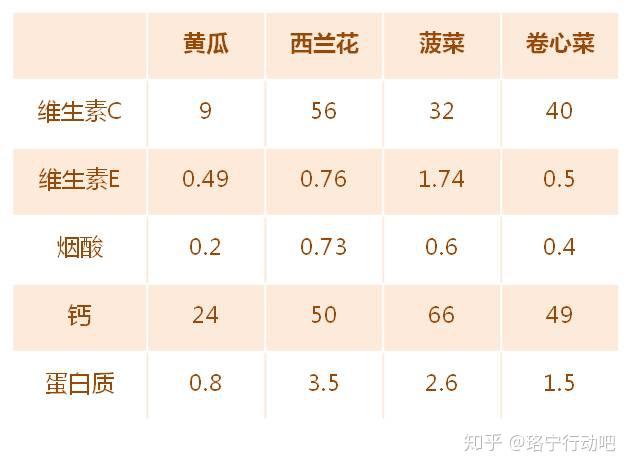 包菜营养成分表100克图片