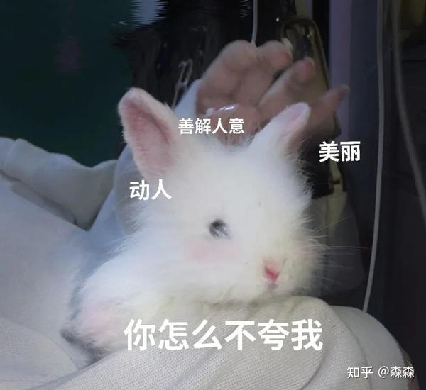 兔兔那么可爱，怎么可以分不清bunny、rabbit和hare？ - 知乎