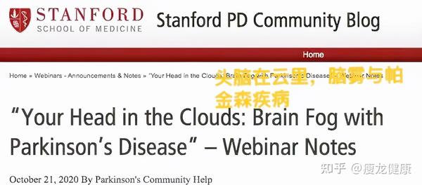 Your Head in the Clouds: Brain Fog with Parkinson's Disease