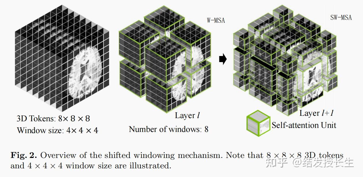  transformer swin unetr swin transformers for semantic segmentation of