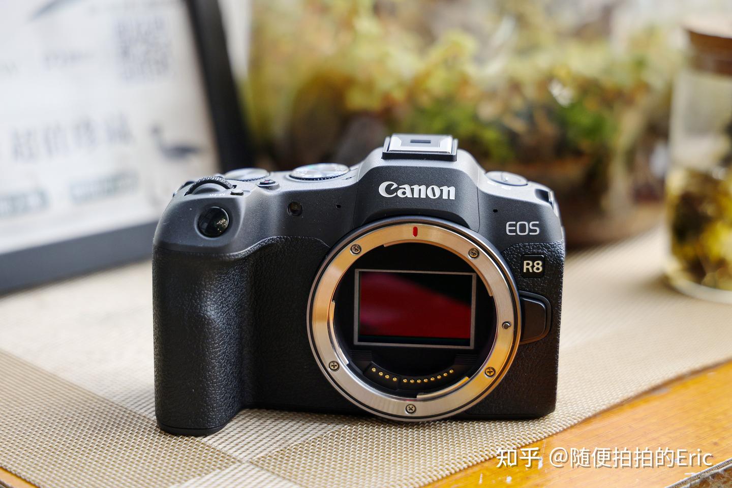 佳能EOS R8才是新一代万元全画幅守门员?松下LUMIX S5II表示不服 - 知乎