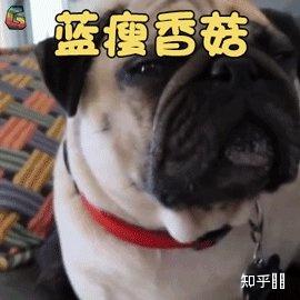 v2-88ddb685f5bb49a4e3f7c134b14b322e_b.jpg