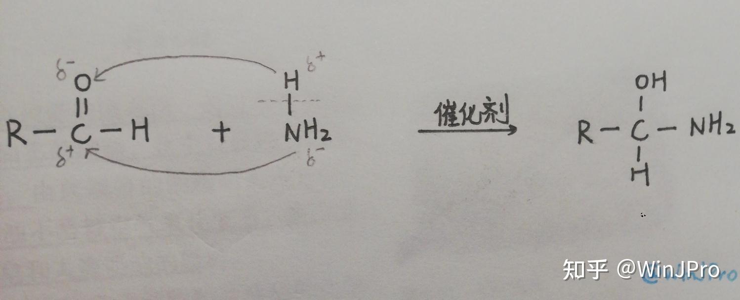 羰基加成——有机信息命题宠儿 回归课本 有机合成基础羰基加成浅谈 - 知乎