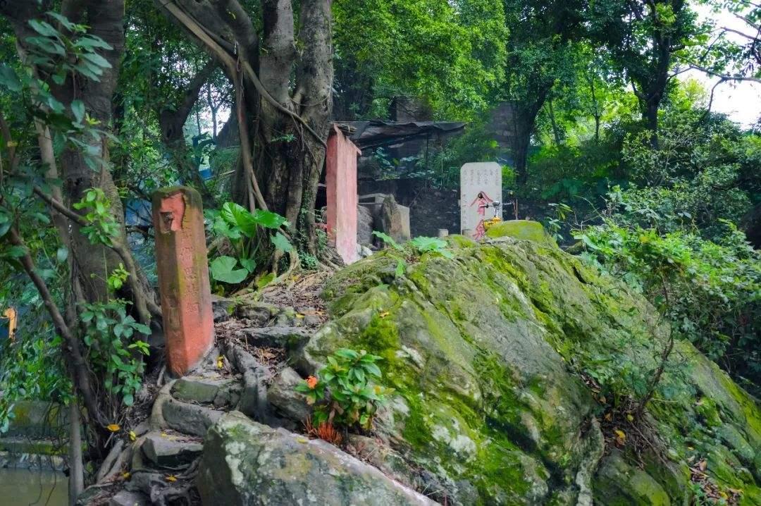 诗词中的广州和岭南3