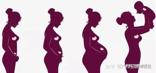 干货|最全孕期检查项目及时间表,看完收藏就不会忘啦 - 知乎