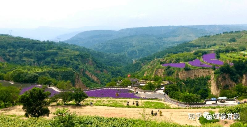 平凉2021土坝村图片