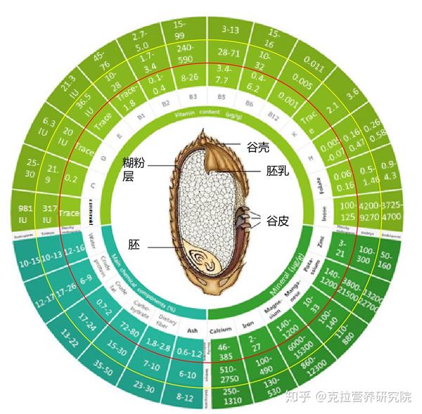 经常吃白米饭跟吃全谷物的人相比健康状况有何不同