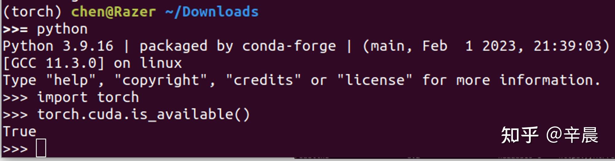 Conda pytorch cuda 
