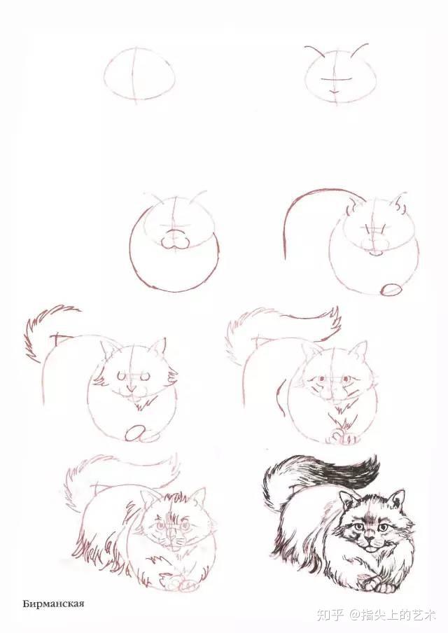 猫的画法油画 v2-88ff6b9ec5d5604daf94aebe8e15976a_r.jpg