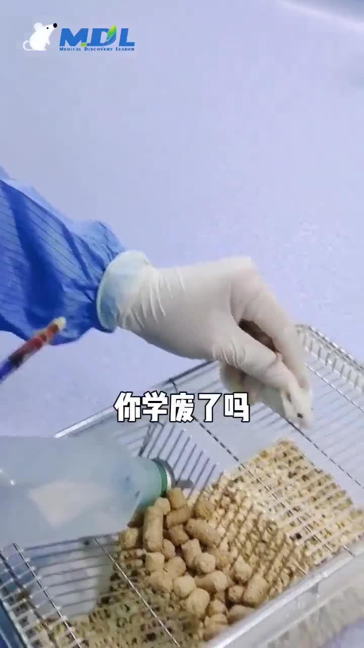 小鼠心脏取血 - 知乎