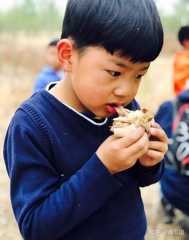 南瓜田儿童活动新梦想荒野行动第1季之野外烤鸡圆满结束