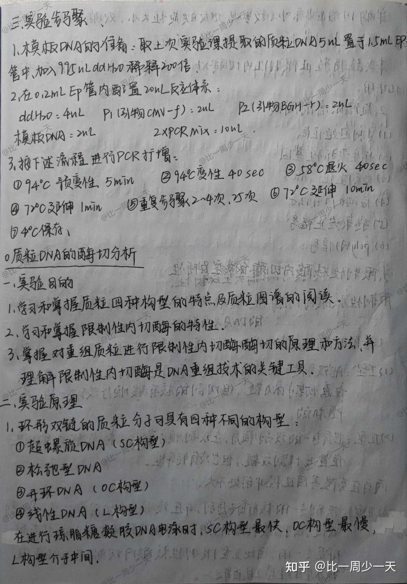 生物化学与分子生物学 实验报告 - 知乎