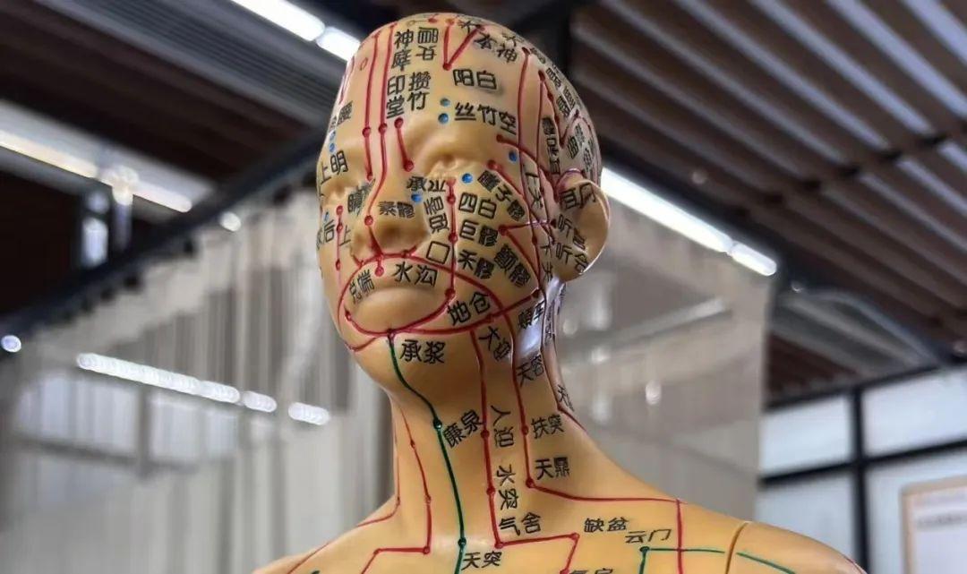 中医| 针灸:足阳明胃经(1) - 知乎