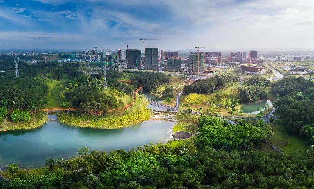 《关于"助推绿色发展 建设美丽长江"全国引领性劳动和技能竞赛2019