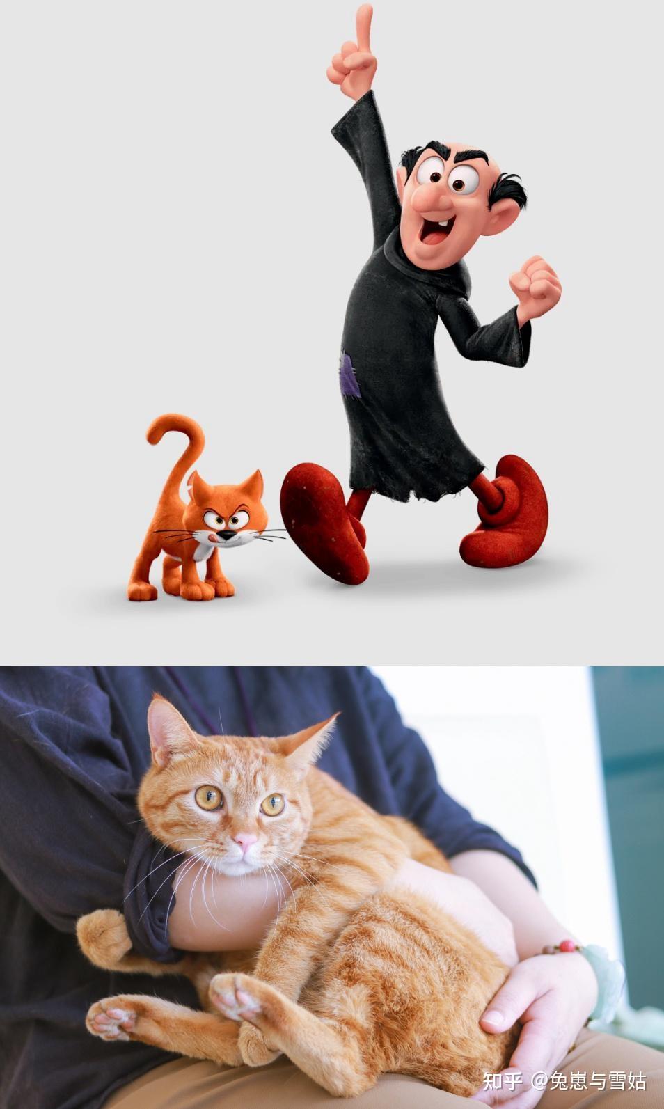 汤姆汤姆(tom)是米高梅公司制作的经典动画片《猫和老鼠》中的主角之