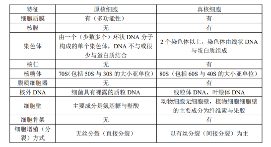 细胞知识点5:真核细胞