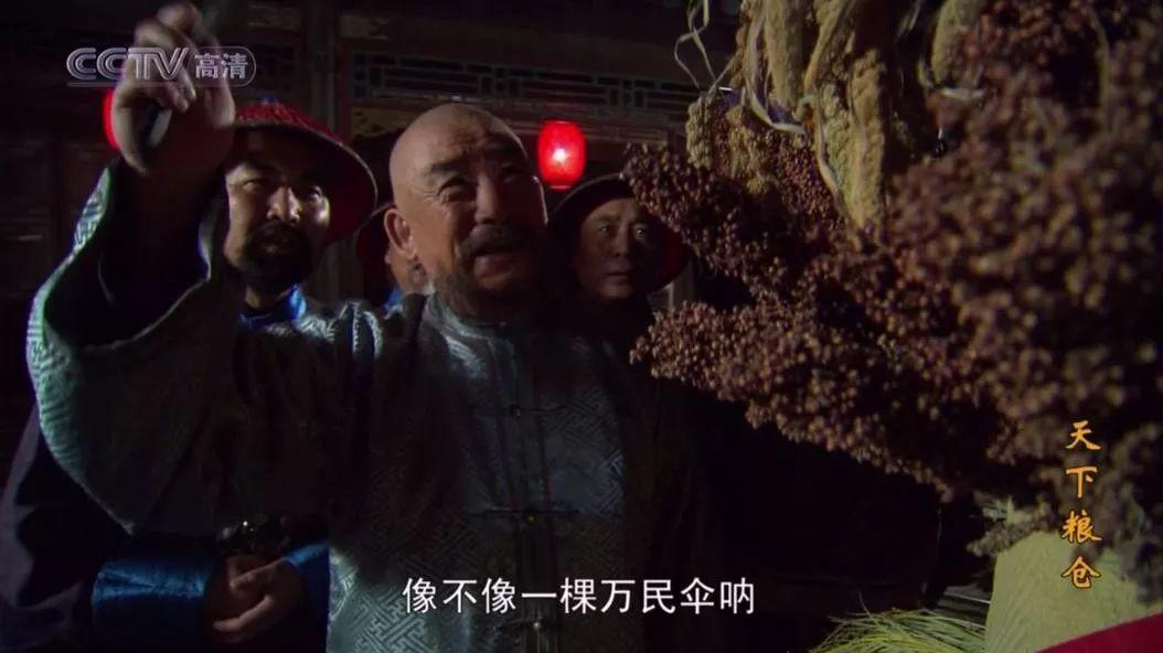 刘统勋按照大清律法将包括