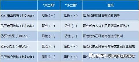 乙肝e抗體(hbeab),乙肝核心抗體(抗hbc)三項陽性