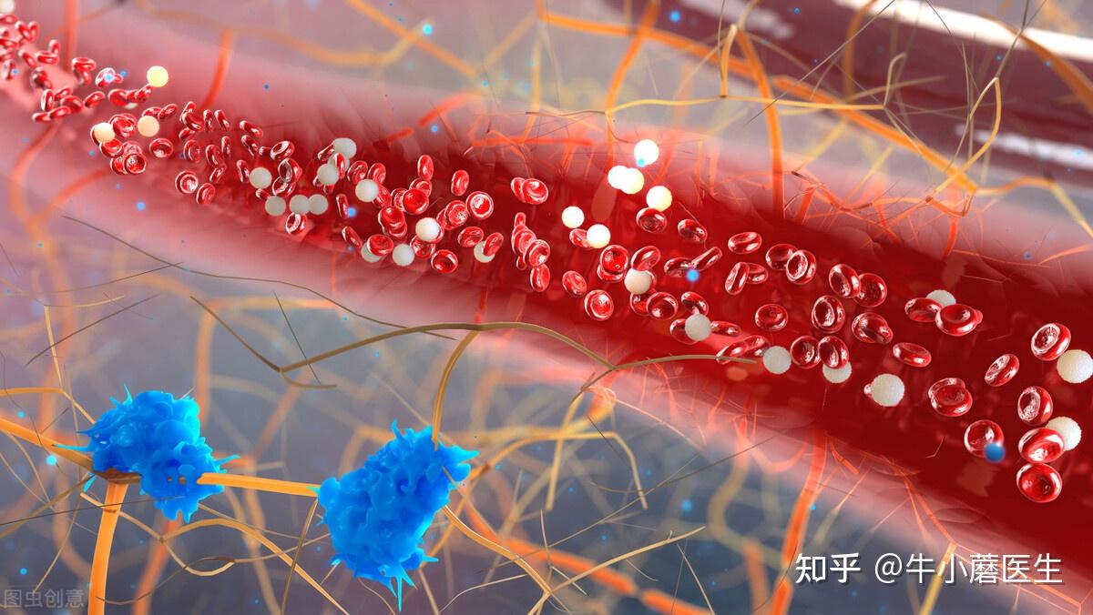 你還在相信僅靠吃這3種食物就能讓血管軟化醫生騙人的把戲