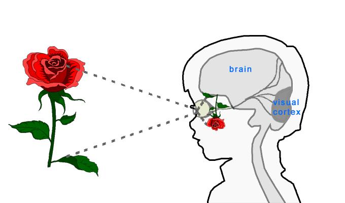 如何不被女生左右情绪 v2-895f9d3afdc9c91bf63b2df5c180446a_r.jpg