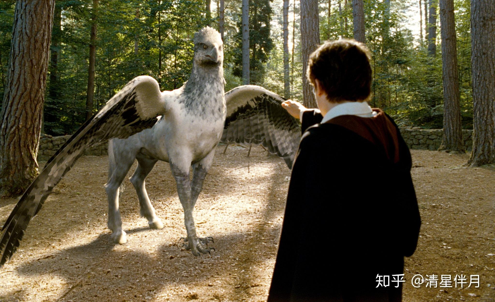 巴克比克buckbeak